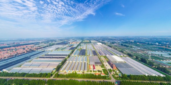 計(jì)算機(jī)系統(tǒng)服務(wù)基地 數(shù)字化轉(zhuǎn)型的核心引擎